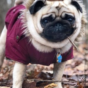 Meet your Posher, Jessy